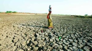 वसुन्धरा राजे ने कहा कि राजस्थान को ताजेवाला हैड से यमुना नदी...Panchayat Times