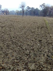 सिचांई सुविधा न मिलने से दो सौ बीघा जमीन सूखी