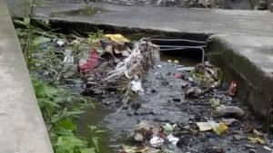 चेकडेम बनवाए जाए