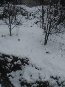 हिमाचल प्रदेश में बारिश और भारी बर्फबारी की चेतावनी