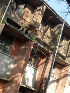 कृषि विभाग के दफ्तर के बाहर बिजली की तारों पर लगी आग, कोई नुकसान नहीं 