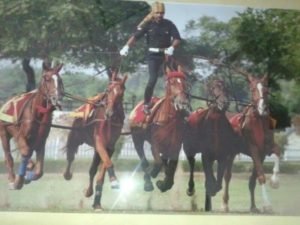 हर दूसरे घर से परिवार का सदस्य सरकारी नौकरी में