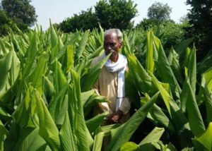 किसानों के आए अच्छे दिन, अब बिना पैसे के कर सकते हैं खेती -Panchayat Times