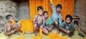 गेंदा फूल की खेती करने में जुटे खूंटी के किसान-Panchayat Times