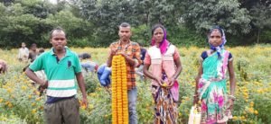 गेंदा फूल की खेती करने में जुटे खूंटी के किसान-Panchayat Times