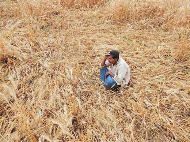 भारतीय कृषि क्षेत्र की समस्याएं और कहां तक नजर आते हैं उनके समाधान - Panchayat Times