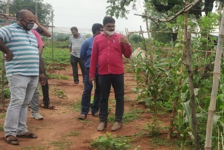 ऑर्गेनिक खेती का चढ़ा ऐसा नशा की छोड़ दी अमेरिका की नौकरी - Panchayat Times