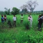झारखंड | चार माह से बंद किसानों की ऋण माफी योजना जल्द हो सकती है शुरू, नौ लाख किसानों का होना है ऋण माफ - Panchayat Times