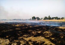 किसानों की मांग के आगे झुकी सरकार, किसानों द्वारा पराली को जलाना अपराध की श्रेणी से बाहर, अभी 2,500 से लेकर 15 हजार तक के जुर्माने का प्रावधान - Panchayat Times