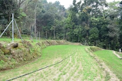 हिमाचल | प्रदेश सरकार ने सभी जिलों के उपायुक्तों से सूखे की रिपोर्ट तैयार करने को कहा, बारिश न होने से फसलों को हो रहा है नुकसान - Panchayat Times