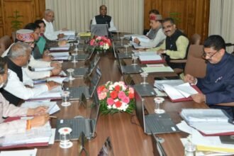 हिमाचल मंत्रिमंडल | पंचायती राज विभाग में भरे जाएंगे 32 पद, मण्डी विश्वविद्यालय में 137 वहीं शिमला विश्वविद्यालय के तहत आएंगे 175 कॉलेज, गौ अभ्यारण्य को अब प्रति गाय मिलेंगे 700 रुपये - Panchayat Times