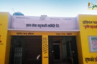 63 हजार प्राथमिक कृषि ऋण समितियों के कम्प्यूटरीकरण को मंजूरी, जानिए 13 करोड़ किसान सदस्यों वाली इन पैक्स के बारे में ओर ये कैसे करती हैं काम - Panchayat Times