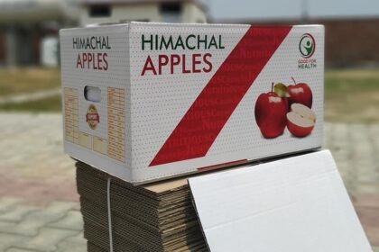 हिमाचल | सेब का सीजन आते ही पैकिंग ट्रे के दामों में फिर बढ़ोतरी, पिछले साल के मुकाबले एक कार्टन के दाम में करीब 20 फीसदी की बढ़ोतरी - Panchayat Times