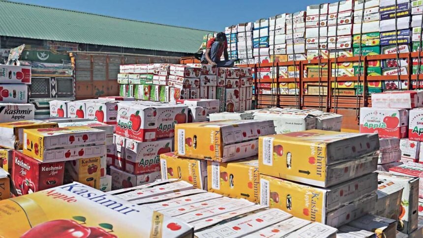 नई सरकार से बागवानों को उम्मीद: हिमाचल प्रदेश के बागवानों ने CM को सौपा मांगपत्र