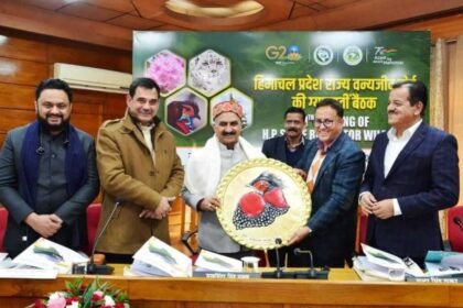 केंद्र से उठाएंगे FRA व FCA का मामला, CM सुक्खू ने मंजूरी में देरी पर जताई चिंता- Panchayat Times