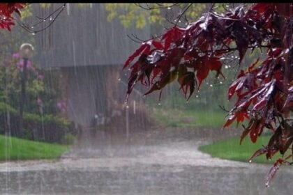 Monsoon: देश में इस साल कैसा रहेगा मानसून, जानें मौसम विभाग ने क्या कहा- Panchayat Times