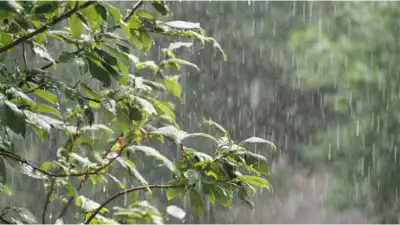 हिमाचल प्रदेश में चार दिन बारिश-ओलावृष्टि का यलो अलर्ट, तेज आंधी आने के भी आसार- Panchayat Times