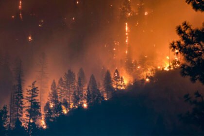 हिमाचल प्रदेश में हर साल बढ़ रहे अग्निकांड को लेकर दमकल विभाग ने जारी की एडवाइजरी - Panchayat Times