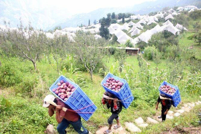 हिमाचल प्रदेश में 25 रुपये बढ़ी दिहाड़ी, अब 375 रुपये मिलेंगे, अंशकालिक कामगारों को भी तोहफा - Panchayat Times