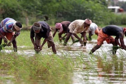 Himachal: प्रदेश में स्थापित होगा देश का पहला क्लीन प्लांट सेंटर- Panchayat Times