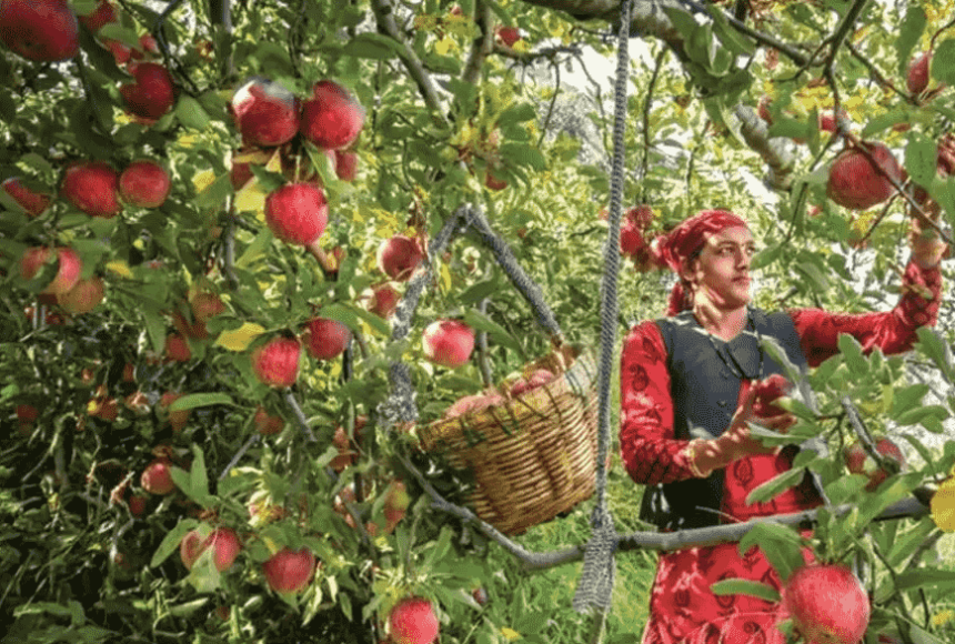 हिमाचल: 1292 करोड़ का बागबानी प्रोजेक्ट क्लीयर, एशियन बैंक और केंद्र के साथ राज्य सरकार का समझौता- Panchayat Times