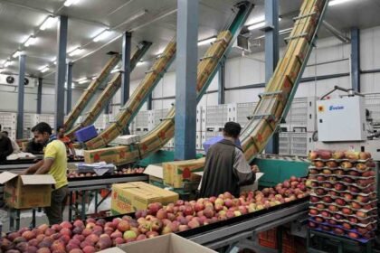 HPMC ने घटाया CA स्टोर्स का किराया, अब छोटे बागवान भी कर सकेंगे सेब स्टोर- Panchayat Times