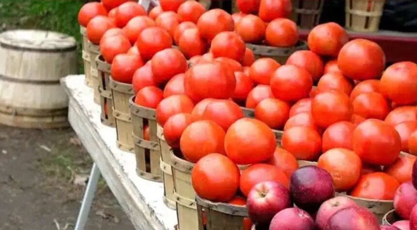 हिमाचल में पहली ही बारिश ने बढ़ाए सब्जियों के दाम, टमाटर पहुंचा 80 रुपये किलो- Panchayat Times