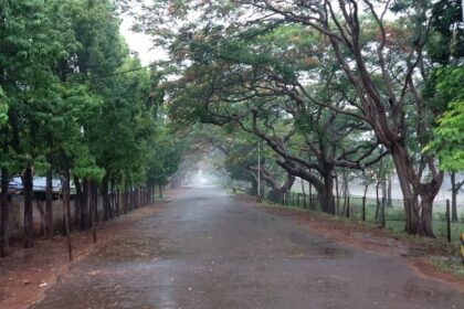 Cyclone Michaung: चक्रवात मिचौंग का झारखंड में दिखने लगा असर, बदला मौसम का मिजाज- Panchayat Times